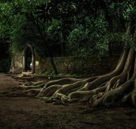 Quinta das lágrimas