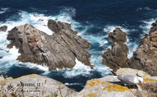 Rocas y mar Islas Cíes