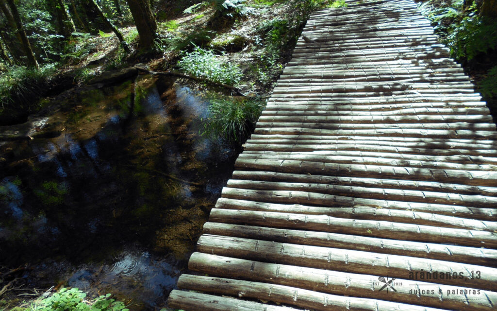 Pasarela de madera sobre riachuelo en Monte Aloia
