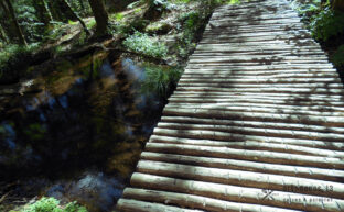 Pasarela de madera sobre riachuelo en Monte Aloia