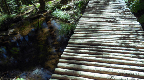 Pasarela de madera sobre riachuelo en Monte Aloia