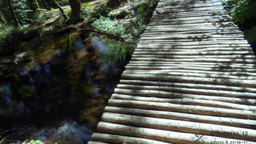 Pasarela de madera sobre riachuelo en Monte Aloia