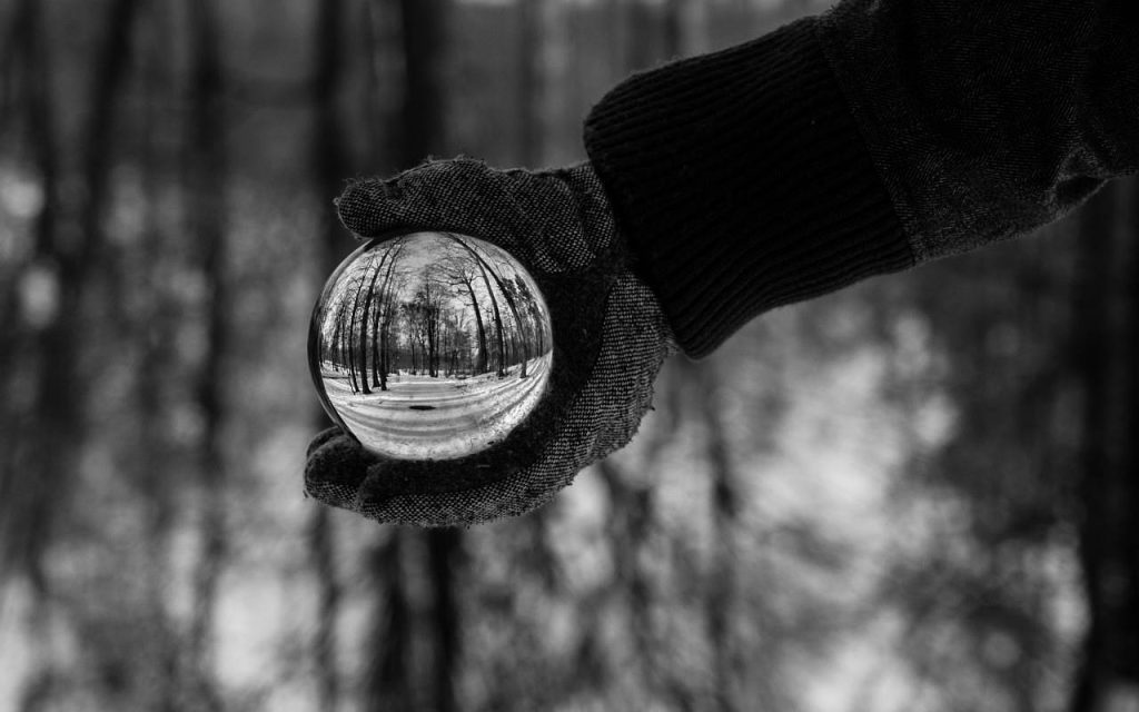 Persona con guante sosteniendo una esfera con reflejo de árboles