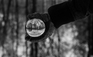 Persona con guante sosteniendo una esfera con reflejo de árboles