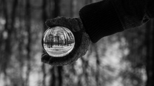 Persona con guante sosteniendo una esfera con reflejo de árboles