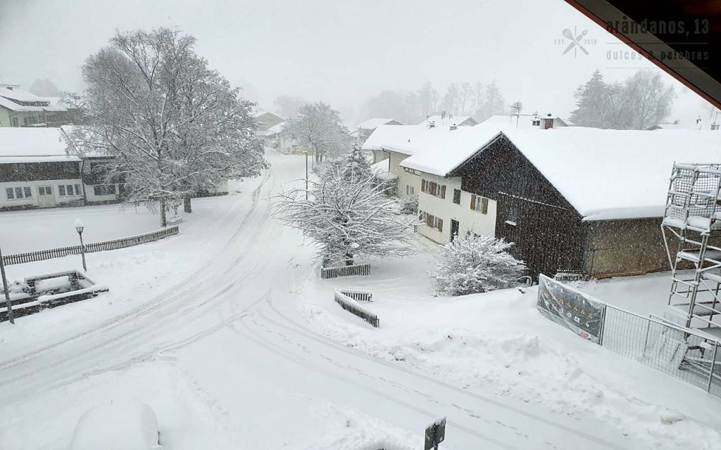 paisaje nevado con casas