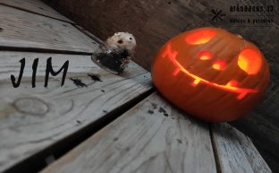 Calabaza sonriente iluminada y muñeco aterrado con nombre Jim escrito