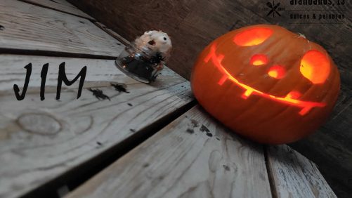 Calabaza sonriente iluminada y muñeco aterrado con nombre Jim escrito
